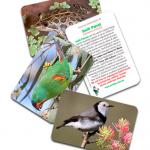 The Connies Swap cards