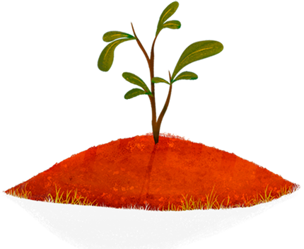 sapling